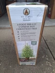 My Texas House Potted 4FT Pre-lit Twinkle Led Cypress Artificial Christmas Tree. Fixed Price $85.00.