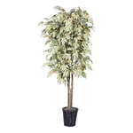 Vickerman 6' Artificial Frosted Maple Deluxe Tree With Basket In Green/brown. Fixed Price $151.99.