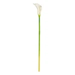 Vickerman 26'' Fabric Artificial Calla Lily Stem In White (set Of 6). Fixed Price $134.87.