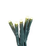 Aurio Starry Light Super Bright 200LED 3MM. Fixed Price $17.99.