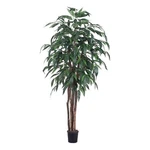 Vickerman 6' Artificial Mango Executive Tree With Black Plastic Pot In Green. Fixed Price $169.99.