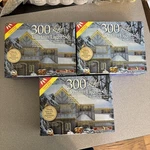 300 Light Curtain Clear White Set Indoor/outdoor Feet. Fixed Price $29.99.