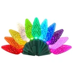 Celebrations Platinum Led C6 Multicolored 50 Ct String Christmas Lights 25 Ft.. Fixed Price $30.85.