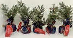 Lot Of 5 Christmas Tree Mini Tartan Plaid Wrapped Holiday Decor. Fixed Price $16.00.