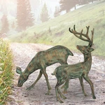 Garden Deer Pair Metal Sculpture Statue Buck Doe Stag Spi Home 53056. Fixed Price $649.00.