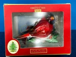 New Box Spode Christmas Tree Cardinal On Mistletoe Ornament Ceramic Hanging 2024. Fixed Price $17.95.