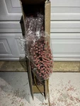 12 Pack New Balsam Hill Sugared Berry Picks Set Of Christmas Floral Stems. Fixed Price $115.00.