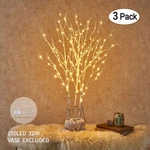 Hairui Led Twig Branch Lights Plug In Lighted Willow Christmas Home Decor. Fixed Price $41.99.