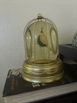 Opalhouse Bird In Cage Water Snow Globe Excellent Condition Box. Fixed Price $24.99.