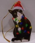 Holiday Christmas Cat Ornament With Lights & Santa Hat. Fixed Price $5.00.