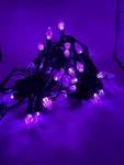 1 Set Ting Shen 32B Christmas String Lights Purple Bulbs, 50 Per. Fixed Price $18.71.