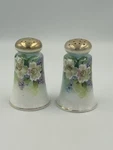 Vtg Nippon Salt & Pepper Shakers Hand Painted Japan Porcelain Roses Gold Trim. Fixed Price $25.00.