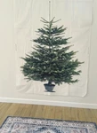 Ikea Vinter 2011 Christmas Tree Fabric Panel Life-size Wall Hanging Oop Retired. Fixed Price $199.99.