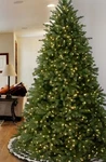 National Tree Company Pre-lit Jersey Frasier Fir Artificial Christmas 7.5. Fixed Price $399.99.