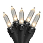 Northlight 100CT Warm White Led Mini Outdoor Christmas Lights - Black Wire. Fixed Price $22.49.