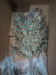 9 Sweet Confetti Fern Pick Stem Spray By Katherines Christmas. Fixed Price $75.00.