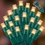 Lamphome 60 Led Warm White String Light - Christmas Count,. Fixed Price $21.01.