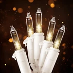 Joiedomi Christmas String Lights INDOOR,100 Count Mini Warm Fairy LIGHT,21.5F.... Fixed Price $22.39.