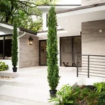 Topiary Cedar Pine Artificial Tree Home Decor Uv Indoor/outdoor. Retail $349. Fixed Price $159.00.