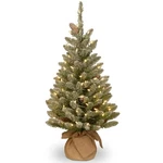 Pre-lit 3FT Snowy Concolor Fir Mini Christmas Tree W/ White Led Lights. Fixed Price $76.22.
