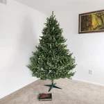 Paddock Artificial Faux Christmas Tree 8' Green Oregon Noble Blue & Storage Bag. Fixed Price $249.99.