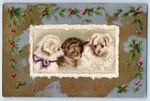 1909 Christmas Puppies And Kitten Holly Berries Winsch Back Embossed Postcard. Fixed Price $14.98.
