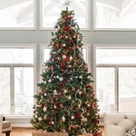 Northlight 9' Northern Pine Full Artificial Christmas Tree Clear Lights. Fixed Price $554.49.
