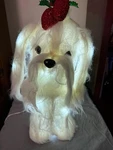Holiday Time Light Up Led Plush Shih Tzu Indoor Outdoor Christmas 20 Inch Dog. Fixed Price $25.49.