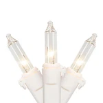 Clear Mini Christmas Lights 10 Count Incandescent White Wire Indoor Outdoor 4FT. Fixed Price $14.49.