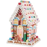 Raz 14" Led Lighted Claydough Pastel Colored Gingerbread House Christmas Figu.... Fixed Price $137.05.