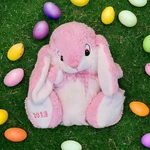 Dandee Collectors Choice 2013 Rabbit Cloth Eyes 14" Plush Pink Stuffed Animal. Fixed Price $15.00.