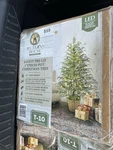 My Texas House Potted 4FT Pre-lit Twinkle Led Cypress Artificial Christmas Tree. Fixed Price $75.00.