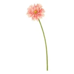 Vickerman 21" Fabric Artificial Gerbera Daisy Stem Light Pink (set Of 6). Fixed Price $122.99.