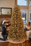 9 Ft. Jackson Noble Fir Led Pre-lit Artificial Christmas Tree T24. Fixed Price $442.25.
