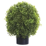 Allstate Floral & Craft LPB323-GR 16 In. Boxwood Ball Topiary Nursery Pot .... Fixed Price $71.87.