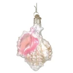 Old World Christmas Glass Blown Ornament Mexican Seashell. Fixed Price $19.99.