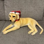 Home Classic Christmas 27" Plush Dog With Santa Hat Used Read. Fixed Price $49.95.
