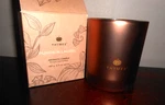 New Thymes Pumpkin Laurel Candle Glass Container Scented Nib 6.5 Oz. Fixed Price $18.95.