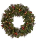 New National Tree Company Prelit Artificial 24 Christmas Wreath Crestwood Spruce. Fixed Price $43.54.
