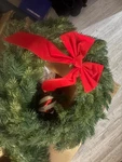Northlight 30"CANADIAN Pine Artificial Christmas Wreath. Fixed Price $50.00.