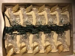 Vtg Set Of 2 Holiday Time 10 Light Beautiful Angels Gold Wings Tree Clips. Fixed Price $25.00.