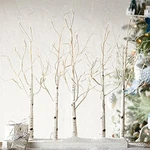 Raz 30 Inch Lighted Birch Grove New With Twinkle Lights And Steady Functions,.... Fixed Price $123.94.
