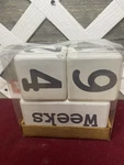 Mud Pie Kids Pregnancy Newborn Baby Infant Milestone Countdown Blocks. Fixed Price $21.00.
