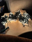 Vickerman 140 Lights Clear 8 Function Wire Spacing Lot. Fixed Price $25.00.