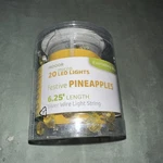 Everlasting Glow 11.8" Led Wire Strings 20 Pinnaple Indoor. Fixed Price $16.50.