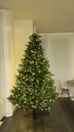 Home Accents 9 Ft. Aldon Balsam Fir Led Pre-lit Tree Free Shipping. Fixed Price $374.95.