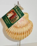 2005 Clam Shell - Old World Christmas Blown Glass Ornament W/tag 12179. Fixed Price $13.99.