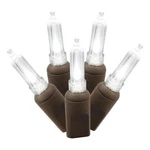 Vickerman 25' Color Box Italian Led Christmas Light Set In Pure White/brown. Fixed Price $26.99.