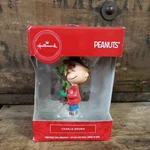 Hallmark Peanuts Charlie Brown With Christmas Tree Red Box Ornament 2020 Used. Fixed Price $9.00.