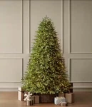 7.5 Ft. Grand Duchess Twinkling Balsam Fir Led Pre-lit Artificial Christmas Tree. Fixed Price $599.99.